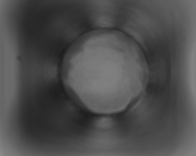 X0000100920162200807081159