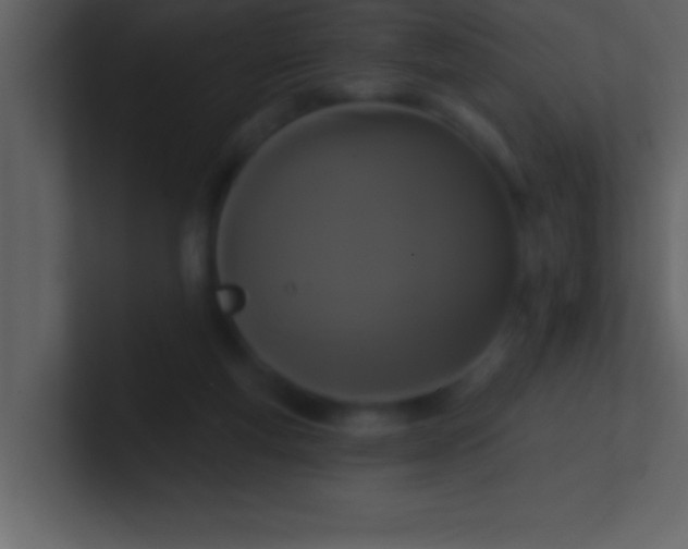 X0000100920163200807081159