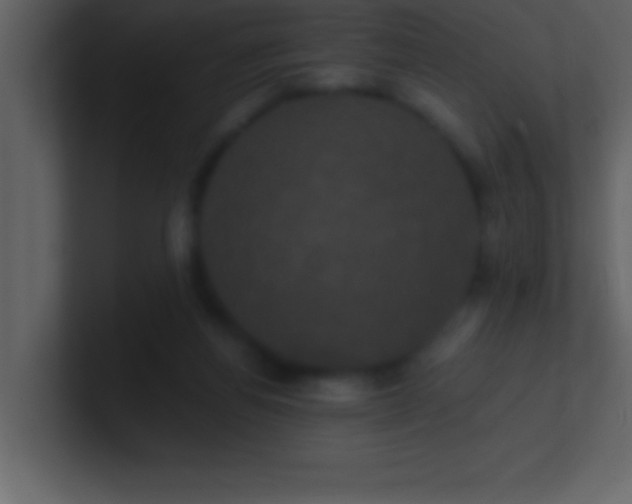 X0000100920164200807081159