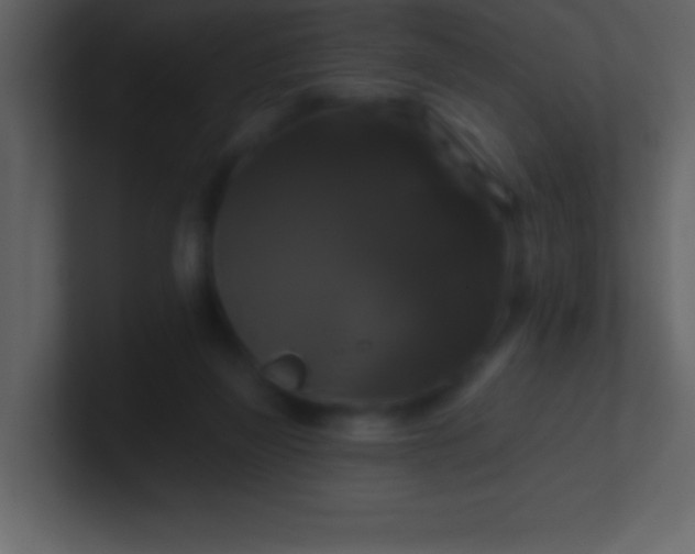 X0000100920165200807081159