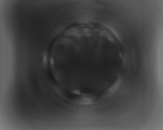 X0000100920166200807081159