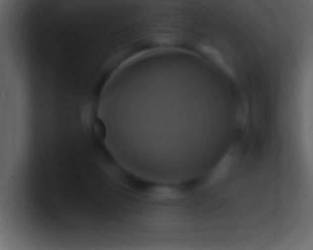 X0000100920167200807081159