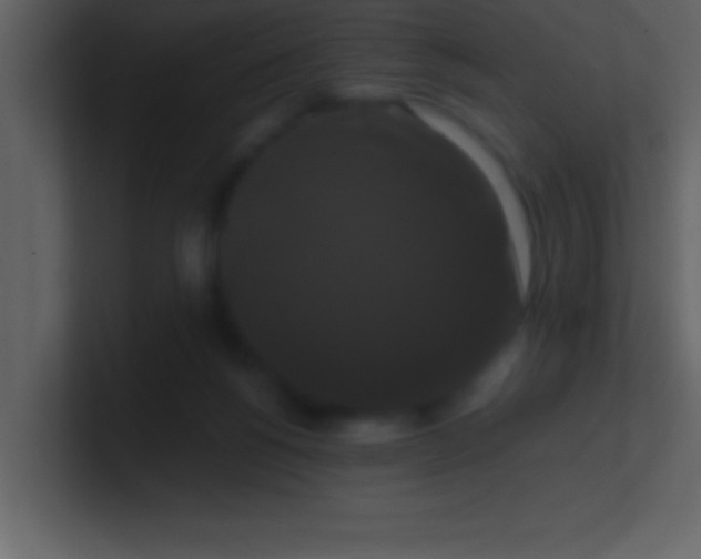 X0000100920168200807081159