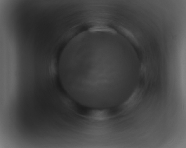 X0000100920170200807081159