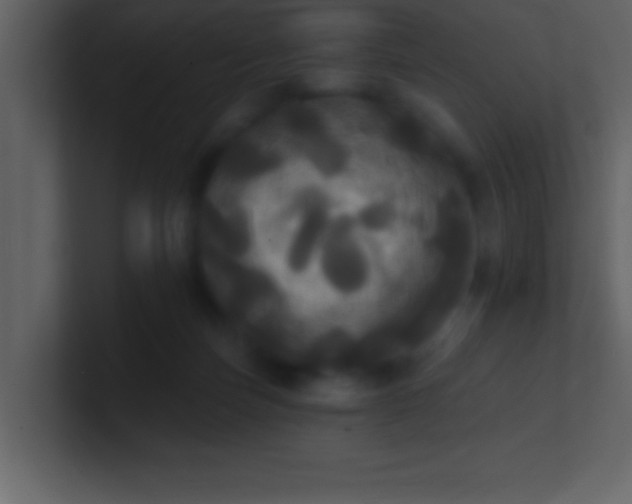 X0000100920171200807081159