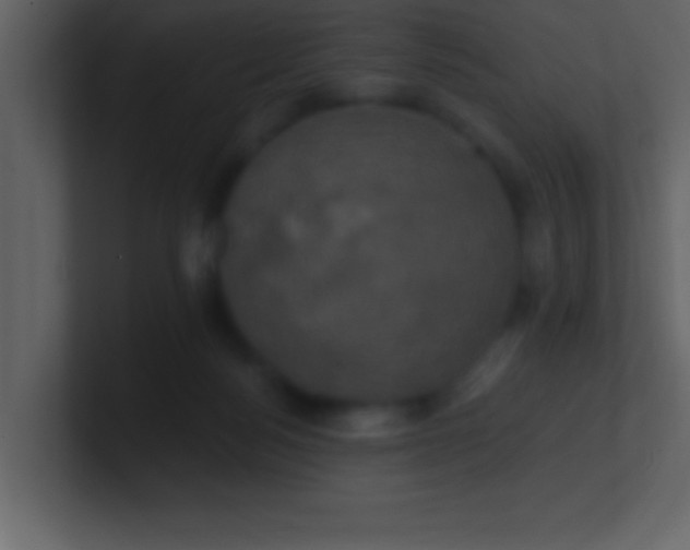 X0000100920172200807081159