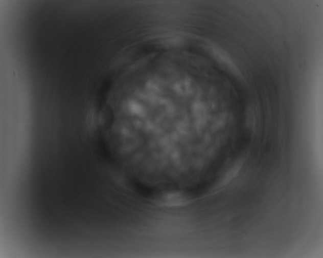 X0000100920173200807081159