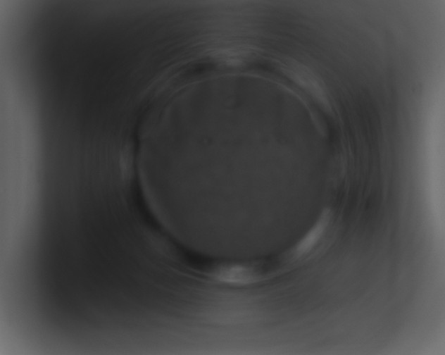 X0000100920174200807081159