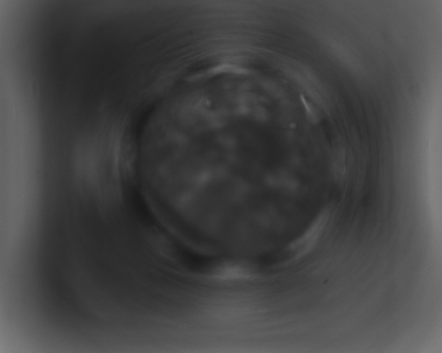 X0000100920175200807081159