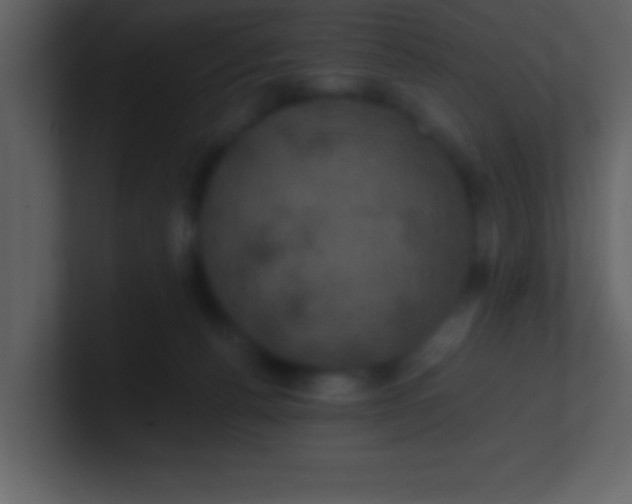 X0000100920176200807081159