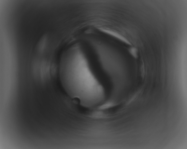 X0000100920177200807081159