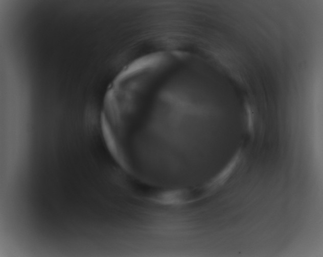 X0000100920178200807081159