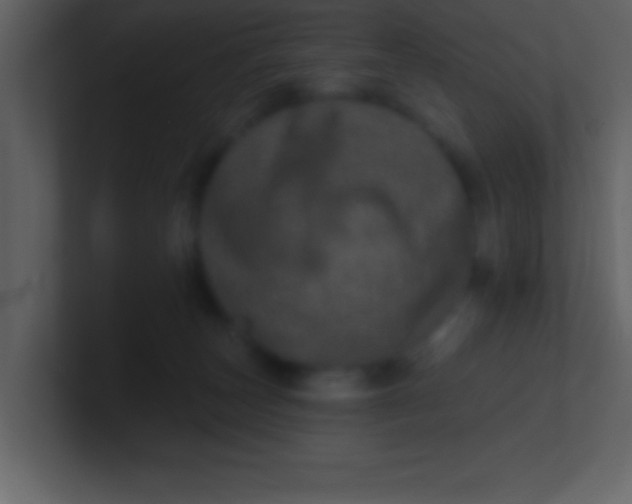 X0000100920179200807081159