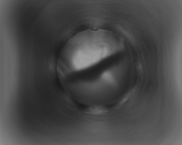 X0000100920181200807081159