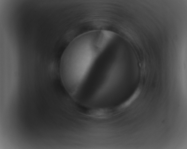 X0000100920182200807081159