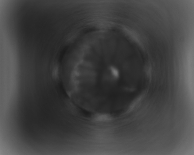 X0000100920185200807081159