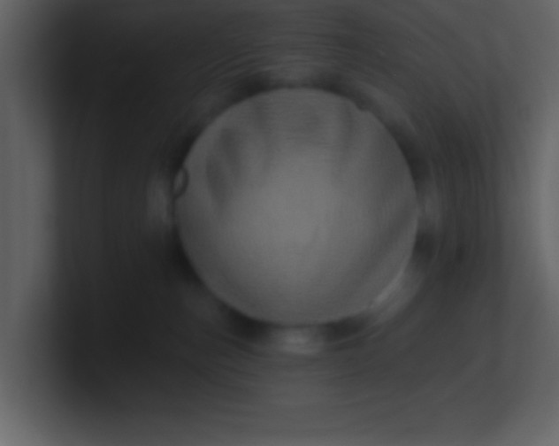 X0000100920187200807081159