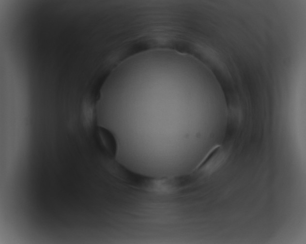 X0000100920188200807081159