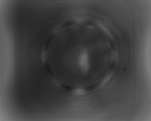 X0000100920189200807081159