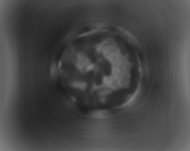 X0000100920191200807081159