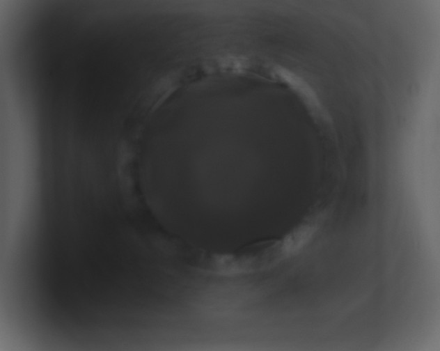 X0000100920192200807081159