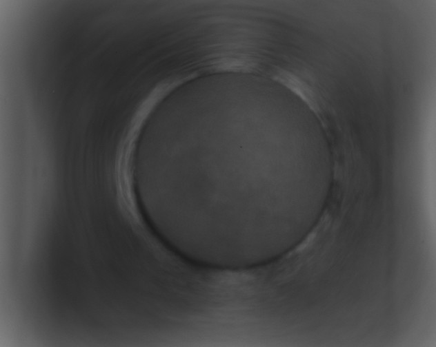 X0000100920193200807081158