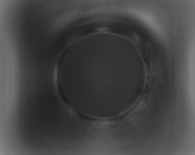 X0000100920194200807081158