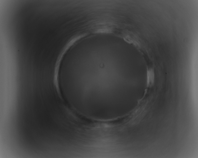 X0000100920195200807081158