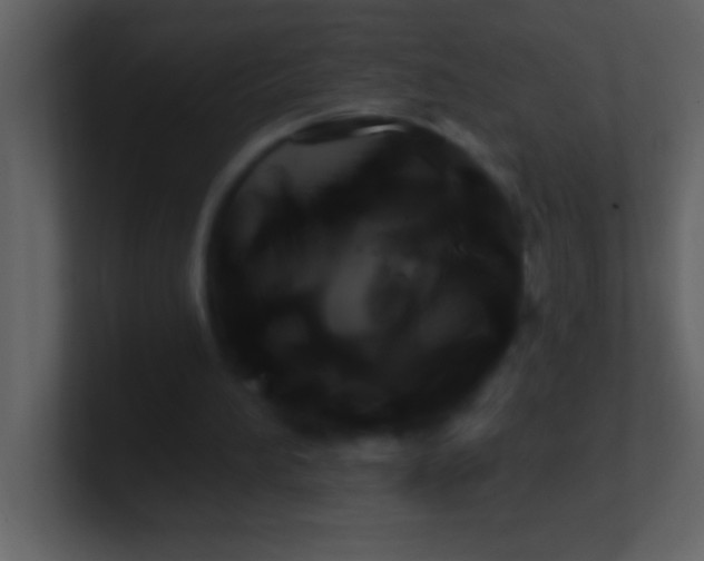 X0000100920196200807081158