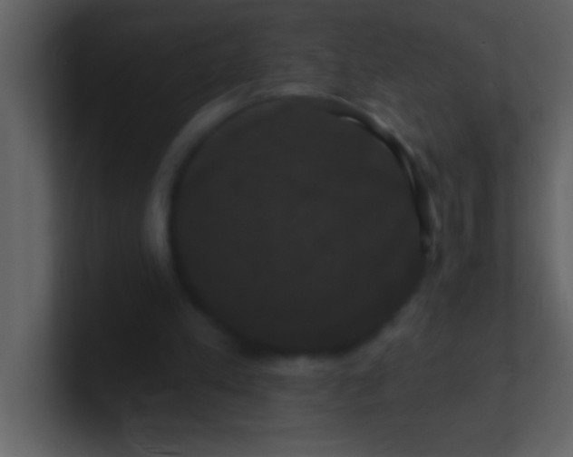 X0000100920197200807081158