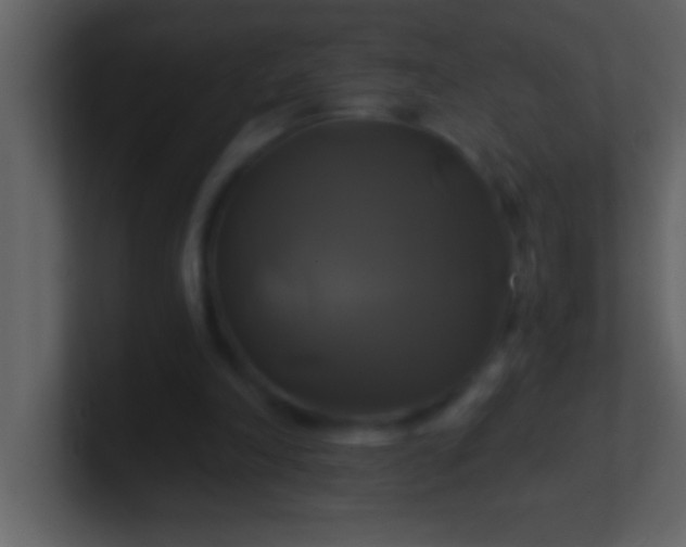 X0000100920198200807081158