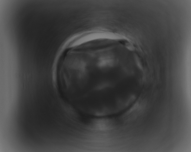 X0000100920200200807081158