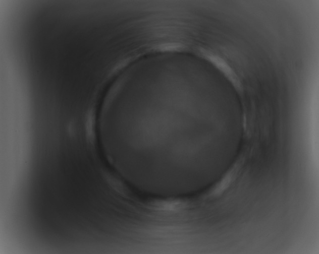 X0000100920201200807081158