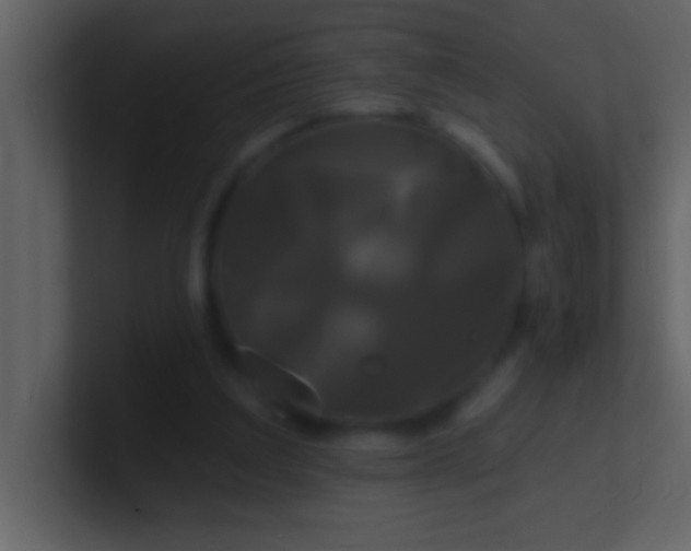 X0000100920203200807081158