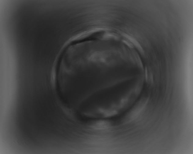 X0000100920204200807081158