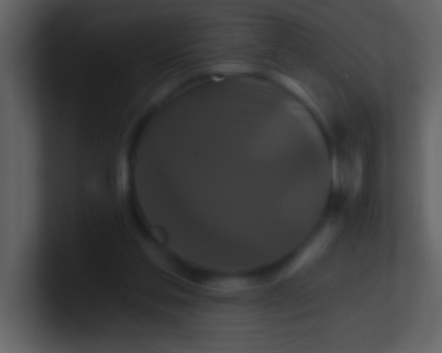 X0000100920205200807081158