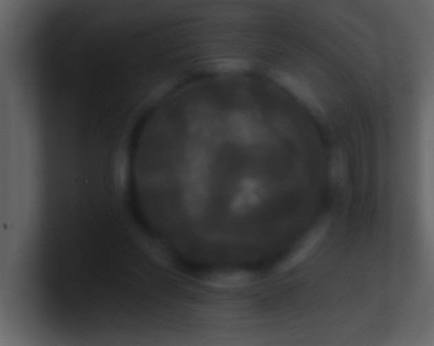 X0000100920206200807081158