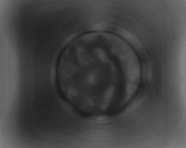 X0000100920208200807081158