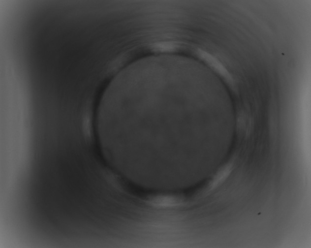 X0000100920209200807081158