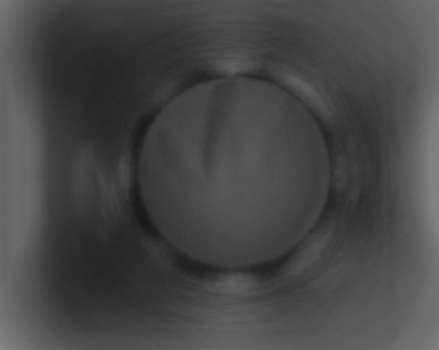 X0000100920210200807081158