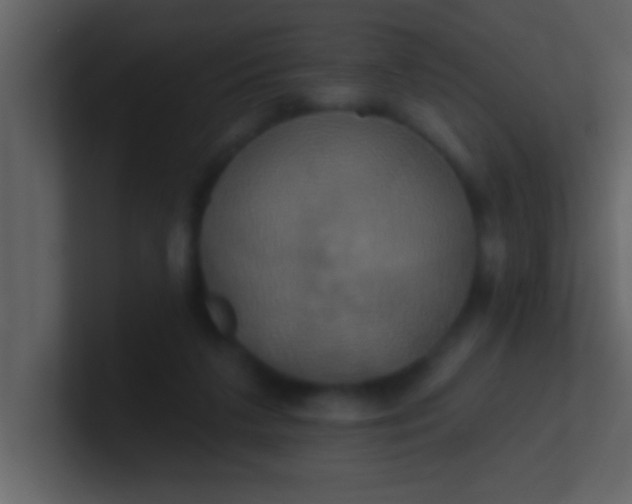 X0000100920211200807081158