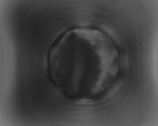 X0000100920212200807081158