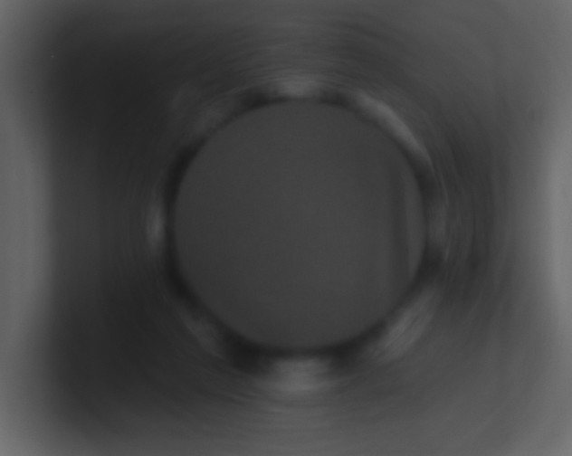 X0000100920213200807081158