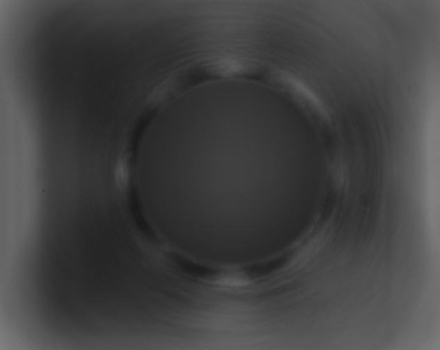 X0000100920214200807081158