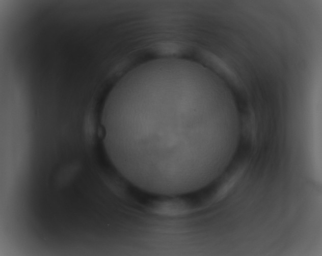 X0000100920215200807081158