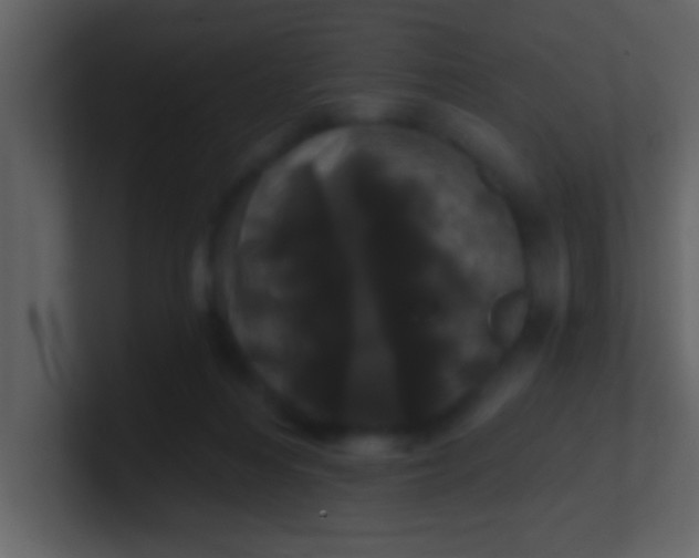 X0000100920216200807081158