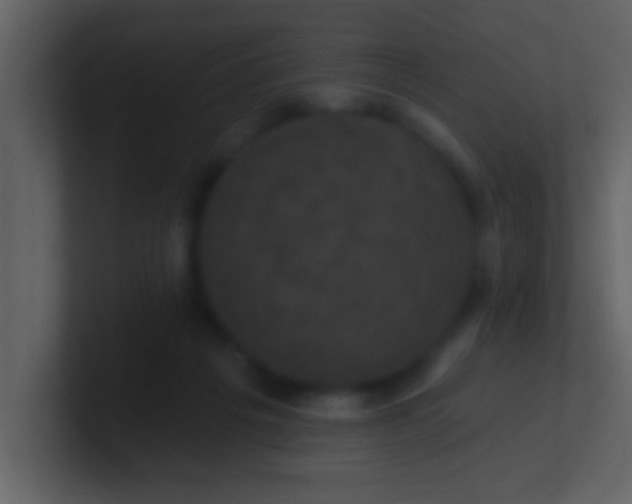 X0000100920217200807081158