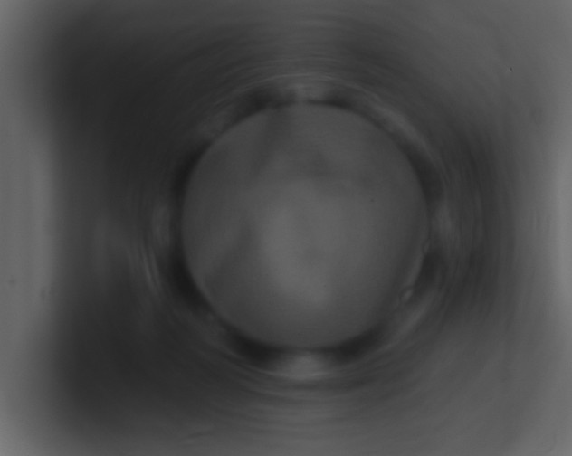 X0000100920218200807081158