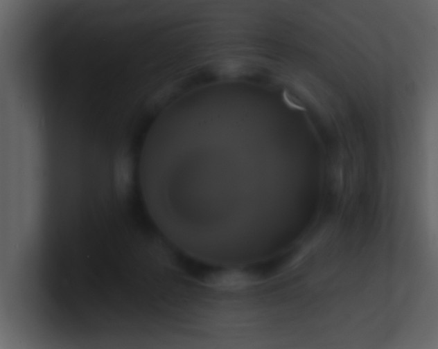 X0000100920219200807081158