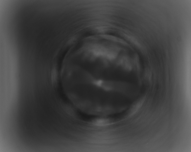 X0000100920220200807081158